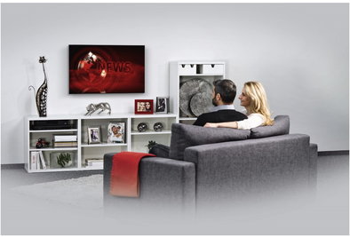 TV-Wandhalterung Fix (48") schwarz