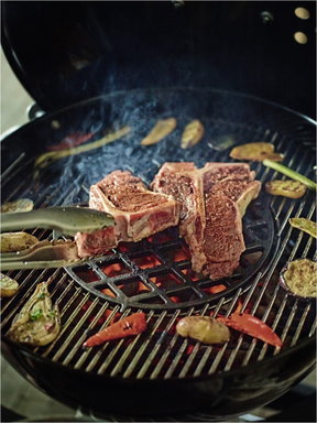 Sear Grate
