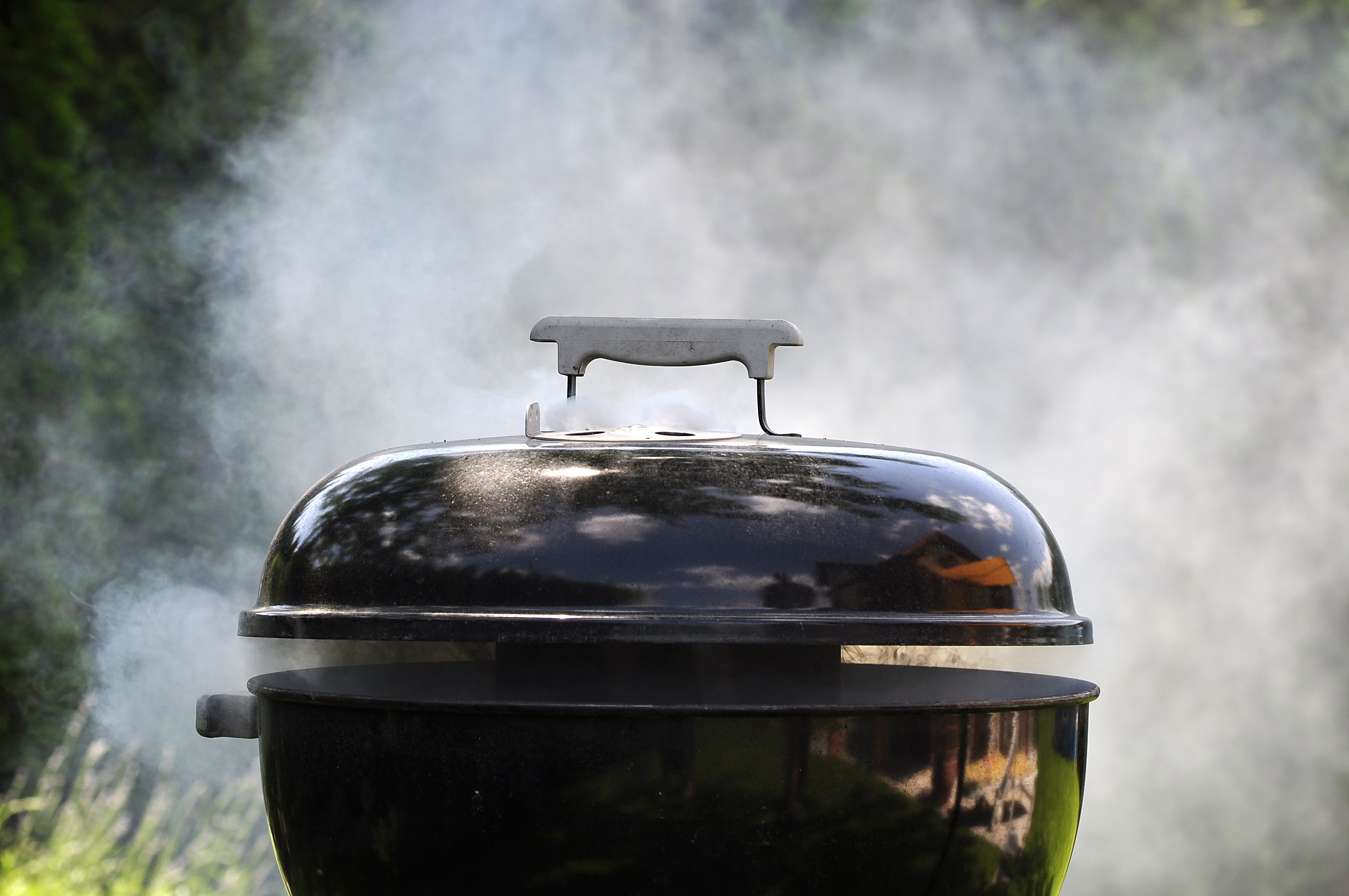 Weber Griller