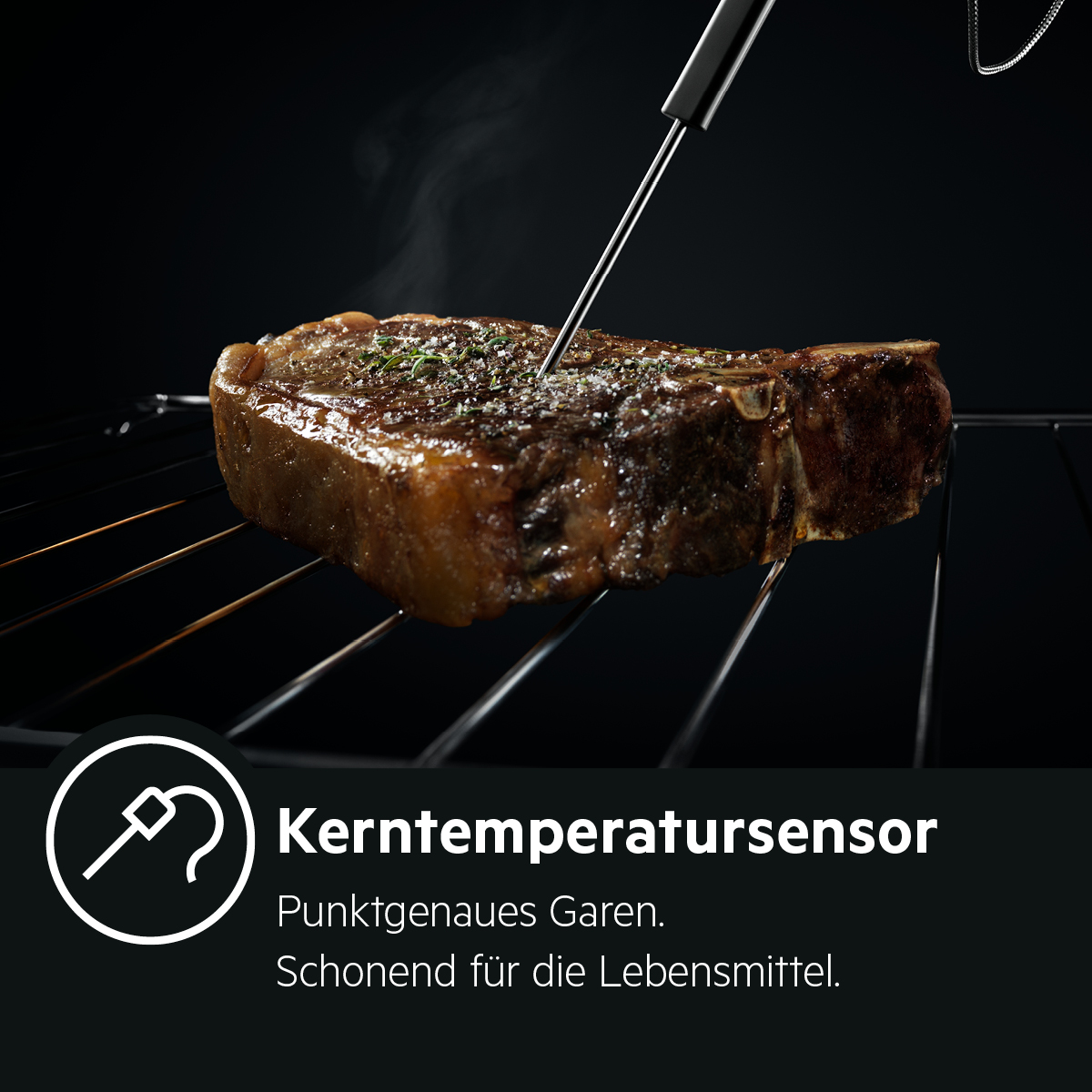 AEG - Kerntemperatursensor. Punktgenaues Garen. Schonend f&uuml;r die Lebensmittel.  